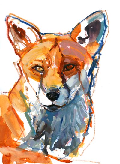 Köpek tilki, 2021 by Mark Adlington