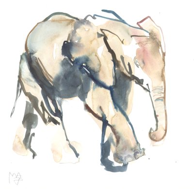 Fil buzağı, Loisaba, 2017 (kağıt üzerine sulu boya)) by Mark Adlington
