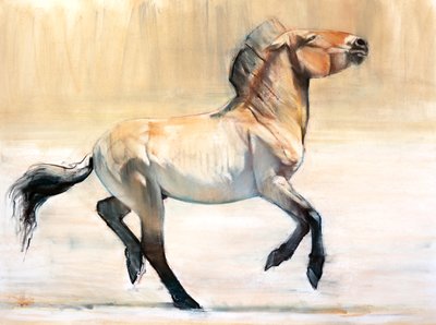 Equus (Przewalski), 2014, (kağıt üzerinde pastel ve karakalem) by Mark Adlington