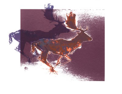 Nadas Bucks (portakal leylak), 2015, (ekran baskısı) by Mark Adlington