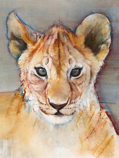Fierce cub, Masai Mara, 2019 by Mark Adlington