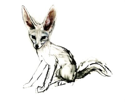 Foxy (Sand Fox), 2009 (kağıt üzerinde karakalem) by Mark Adlington