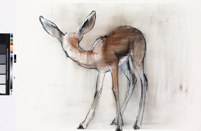 Gazelle Fawn (Arap Gazeli) 2010 (kağıt üzerine yağlı boya) by Mark Adlington