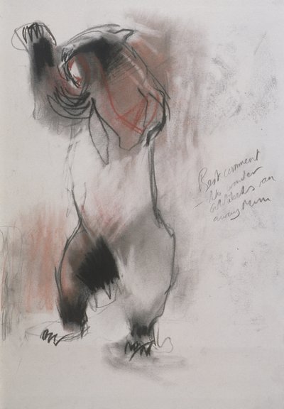 Grizzly, 1995 (kağıt üzerinde kömür, grafit ve conte) by Mark Adlington