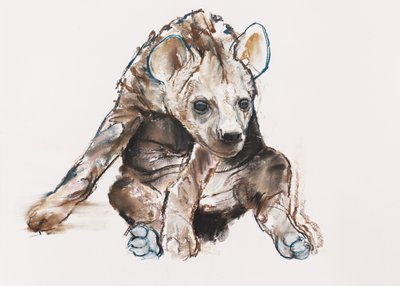 Hyaena Pup (baş aşağı), 2019 by Mark Adlington