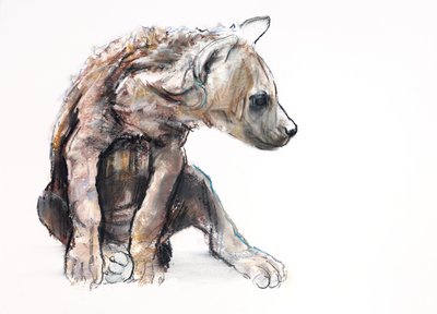 Hyaena Pup (profil), 2019 (kağıt üzerinde kağıt ve karakalem) by Mark Adlington