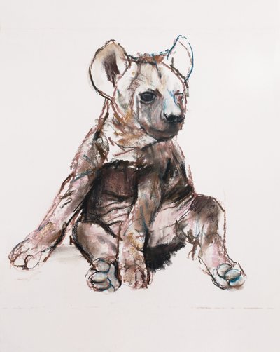 Hyaena Pup (oturarak), 2019 by Mark Adlington