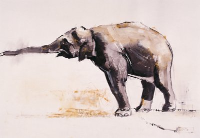 Hint Fili, Khana (kağıt üzerinde karışık teknik) by Mark Adlington