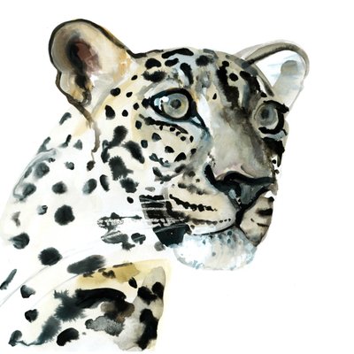 Niyet, 2015 by Mark Adlington