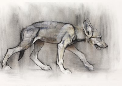 Lean Pup (Arap Kurdu), 2009 (kağıt üzerinde karakalem) by Mark Adlington
