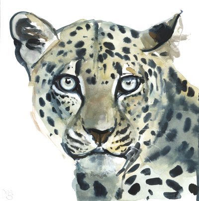 Leopar, 2015, (kağıt üzerine sulu boya) by Mark Adlington