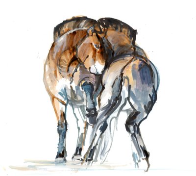 Power Dance (Przewalski), 2013 (sennelier mürekkebi, sulu boya ve guaj) by Mark Adlington