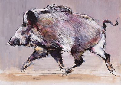 Koşan domuz, 1999 (kağıt üzerinde karışık teknik) by Mark Adlington