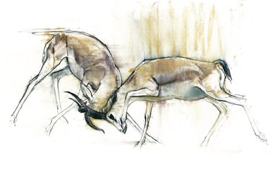 Kum Gazelleri, 2009 (kağıt üzerinde konte ve kömür) by Mark Adlington