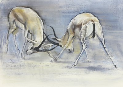 Kum Gazelleri, 2009 (kağıt üzerinde konte ve kömür) by Mark Adlington