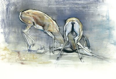Kum Gazelleri, 2009 (kağıt üzerinde konte ve kömür) by Mark Adlington