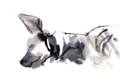 Uyuyan Hyaena, 2010, (kağıt üzerine sulu boya) by Mark Adlington