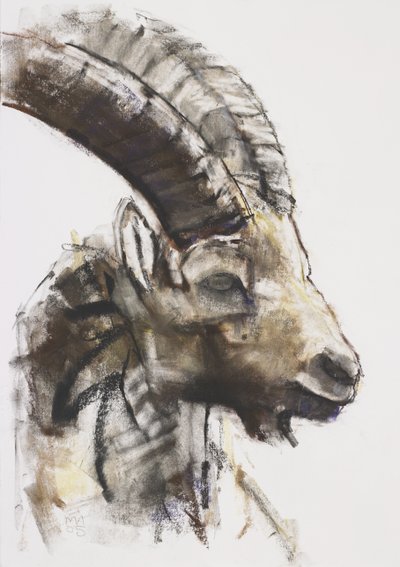 Testa, 2005 (kağıt üzerinde kömür ve conte) by Mark Adlington