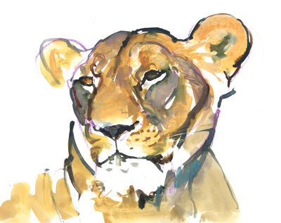 dişi aslan by Mark Adlington