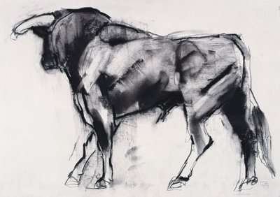 Toro Azul, çalışma (kağıt üzerinde kömür) by Mark Adlington