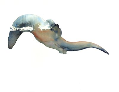Bilinmeyen başlık by Mark Adlington