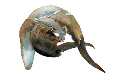 Bilinmeyen başlık by Mark Adlington