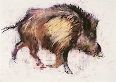 Yaban Domuzu Paçası, 1999 (kağıt üzerinde grafit, konte ve kömür) by Mark Adlington
