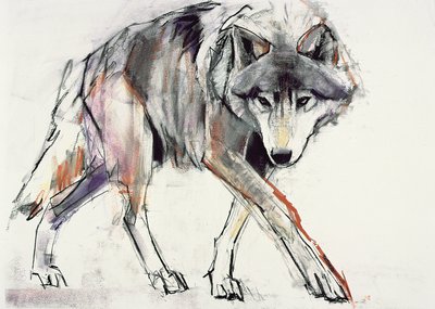 Kurt (kağıt üzerinde karışık teknik) by Mark Adlington