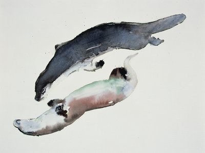 yin Yang by Mark Adlington