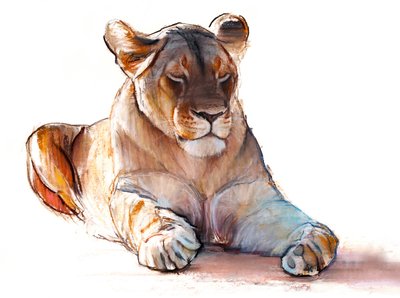Yogi Dişi Aslan, 2019 by Mark Adlington