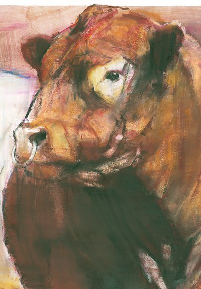 Zeus, Red Belted Galloway Bull, 2006 275255 kağıt detayı üzerine karışık teknik by Mark Adlington