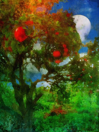  by Mark Gordon