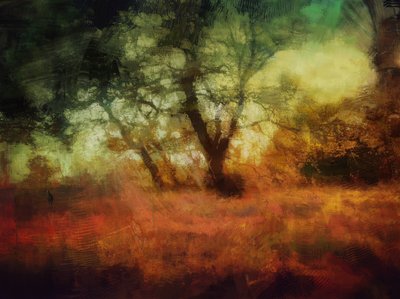  by Mark Gordon