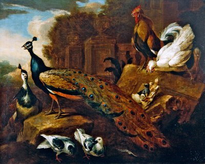 Tavus kuşları, güvercinler ve diğer kuşlar ve klasik bir yapı (tuval üzerine yağlı boya) by Marmaduke Craddock