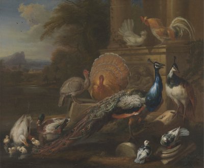 Klasik Bir Harabe Tarafından Tavus Kuşları, Güvercinler, Hindiler, Tavuklar ve Ördekler by Marmaduke Cradock
