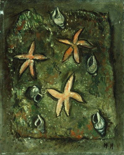 Yıldız balığı ve kabukları by Marsden Hartley