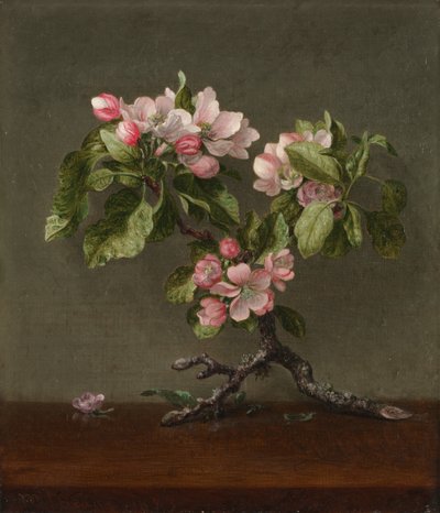 Elma Çiçekleri, 1873. by Martin Johnson Heade