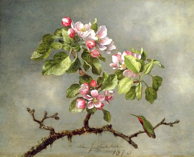 Elma Çiçekleri ve Sinek Kuşu, 1875 by Martin Johnson Heade