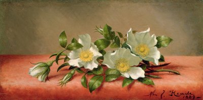 Cherokee Gülleri, 1889 by Martin Johnson Heade