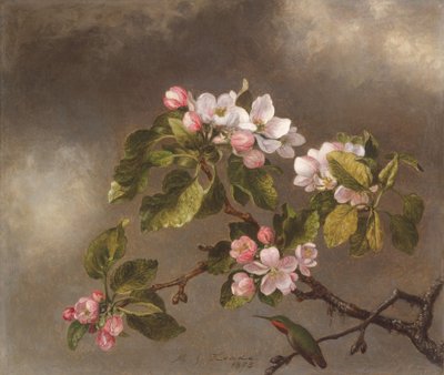 Sinek Kuşu ve Elma Çiçekleri, 1875 by Martin Johnson Heade