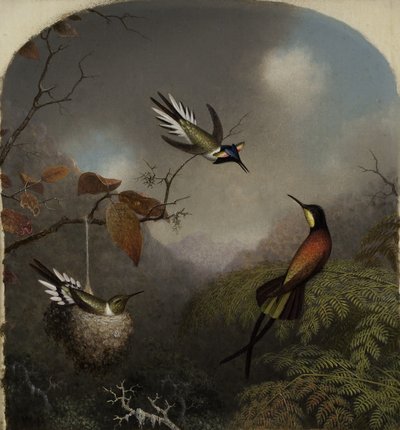 Sinek Kuşları: İki Sungem ve Bir Kızıl Topaz, 1866 by Martin Johnson Heade
