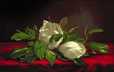 Manolya by Martin Johnson Heade