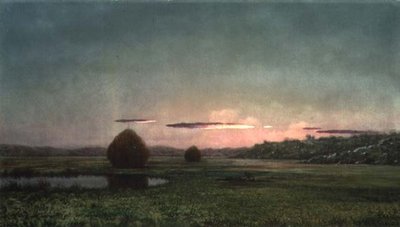 Bataklıklar (tuval üzerine yağlı boya) by Martin Johnson Heade