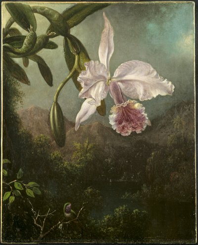 Orkide Çiçekleri by Martin Johnson Heade
