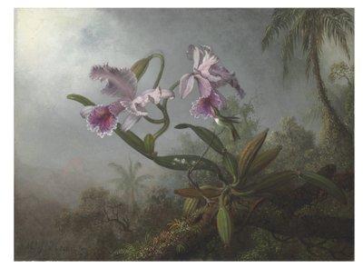 Bir dal üzerinde pembe orkideler ve sinek kuşu, 1875 by Martin Johnson Heade