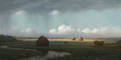 Ani Duş, Newbury Bataklıkları by Martin Johnson Heade