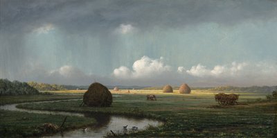 Ani Duş, Newbury Bataklıkları, 1865-75 by Martin Johnson Heade
