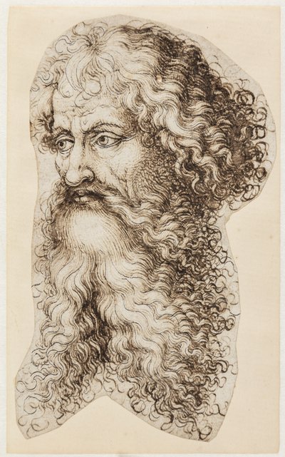 Soldaki dörtte üç profilde sakallı adamın kafası by Martin Schongauer