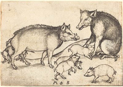 domuz ailesi by Martin Schongauer