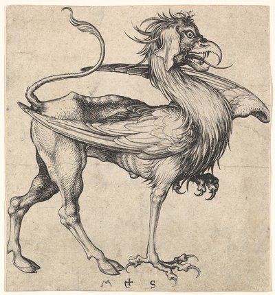 Griffin, yaklaşık 1435-1491. by Martin Schongauer